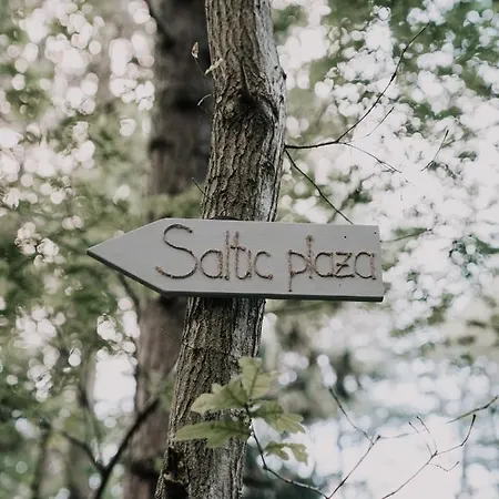 Saltic & Grzybowo קולובז'ג